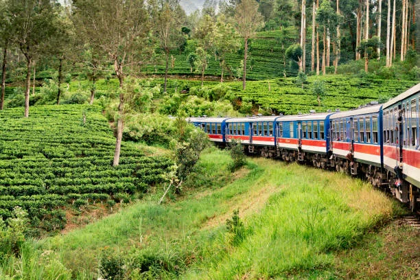 Sri Lanka hill-country train passing through tea estates