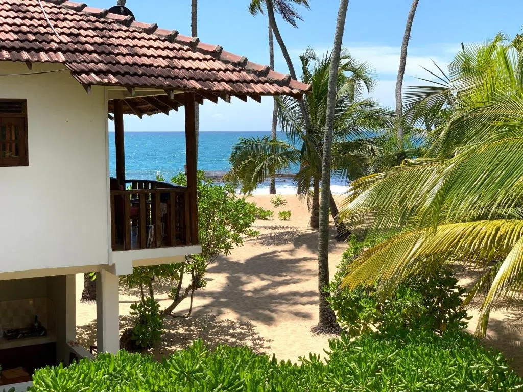 Tropical wellness resort garden beside the sea