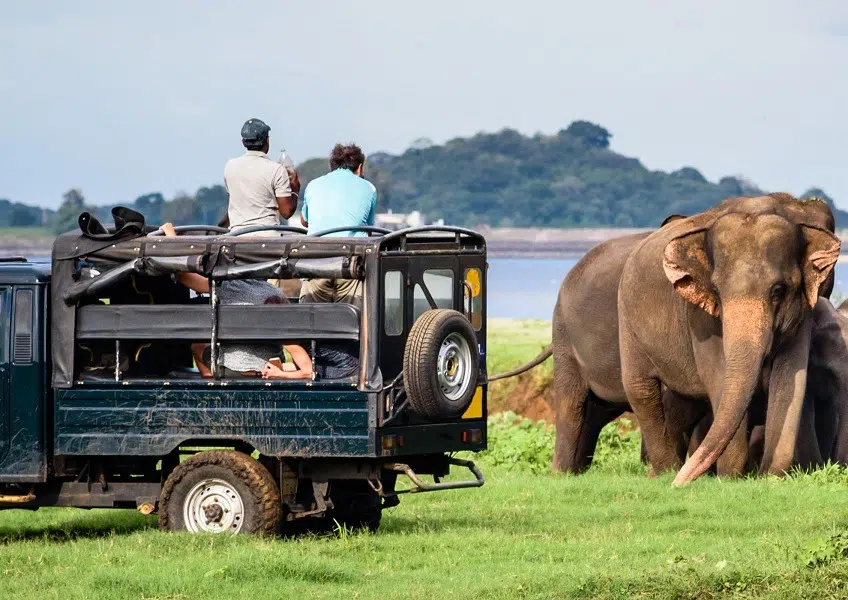 Safari jeep crossing the dry scrubland of Yala