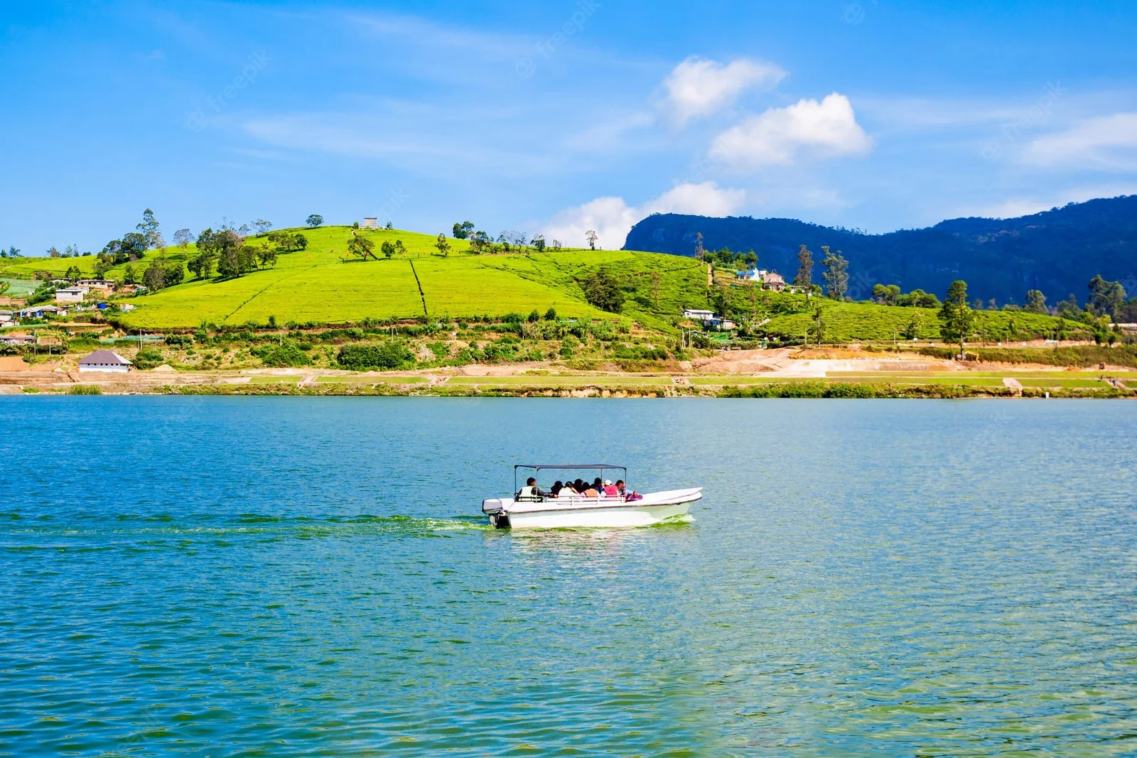 Tea-covered hills and Gregory Lake in Nuwara Eliya