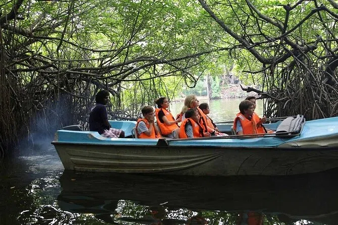 Family boat ride through the mangroves of Madu River
