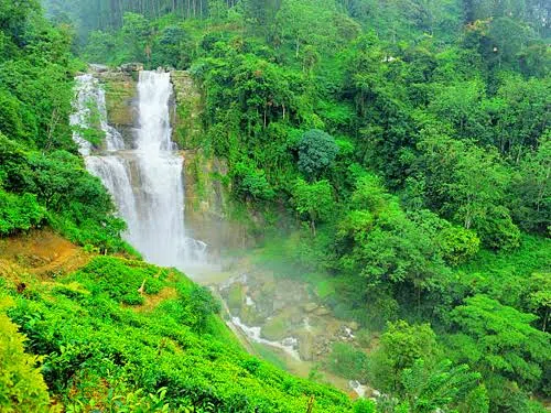 Tea-covered hills and a waterfall near Nuwara Eliya