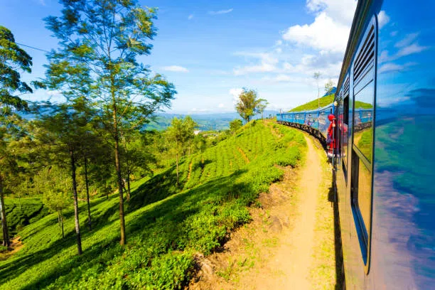 Sri Lanka hill-country train passing through tea estates