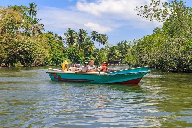 Boat travelling through the mangroves of Madu River