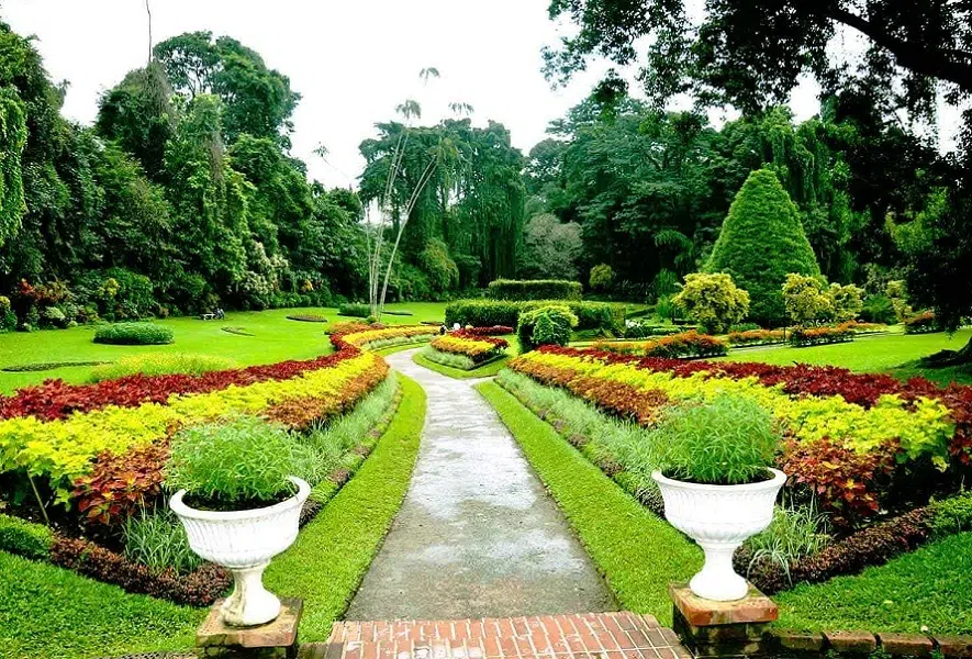 Royal Botanical Gardens Peradeniya