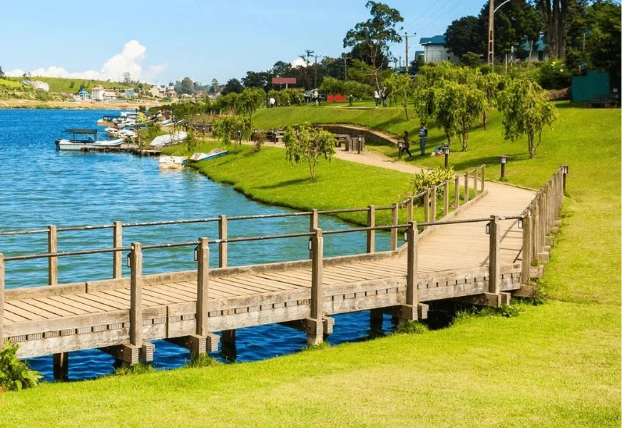 Tea-covered hills and Gregory Lake in Nuwara Eliya