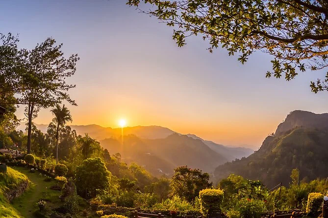 Scenic Train & Tea Country Tour