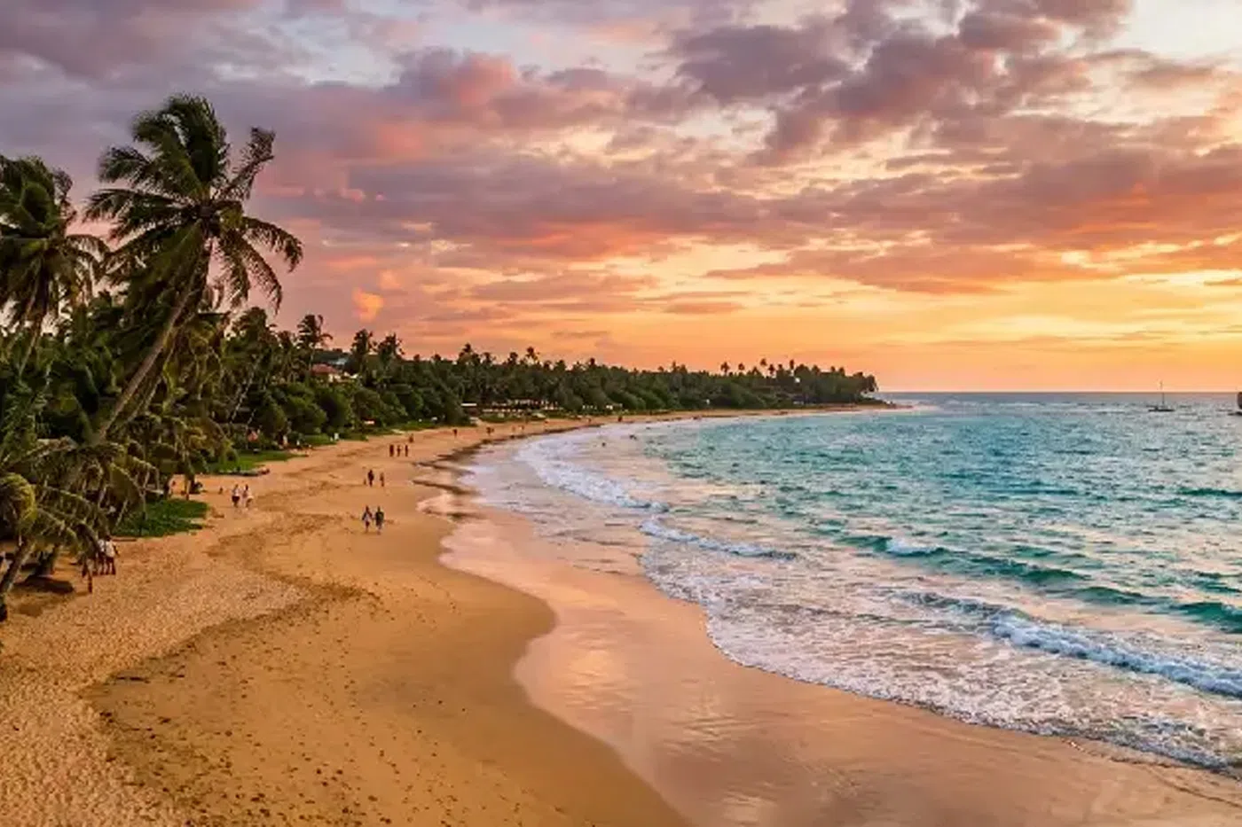 Palm-lined Bentota beach