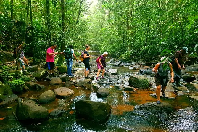 Sinharaja forest edge and wet-zone countryside