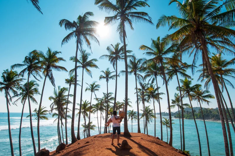 Palm-lined beach in Mirissa
