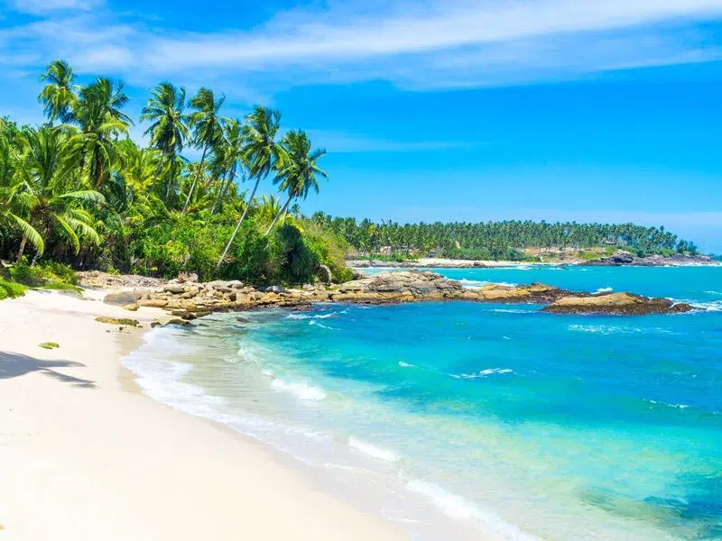 Palm-lined Bentota beach on Sri Lankaβs south-west coast