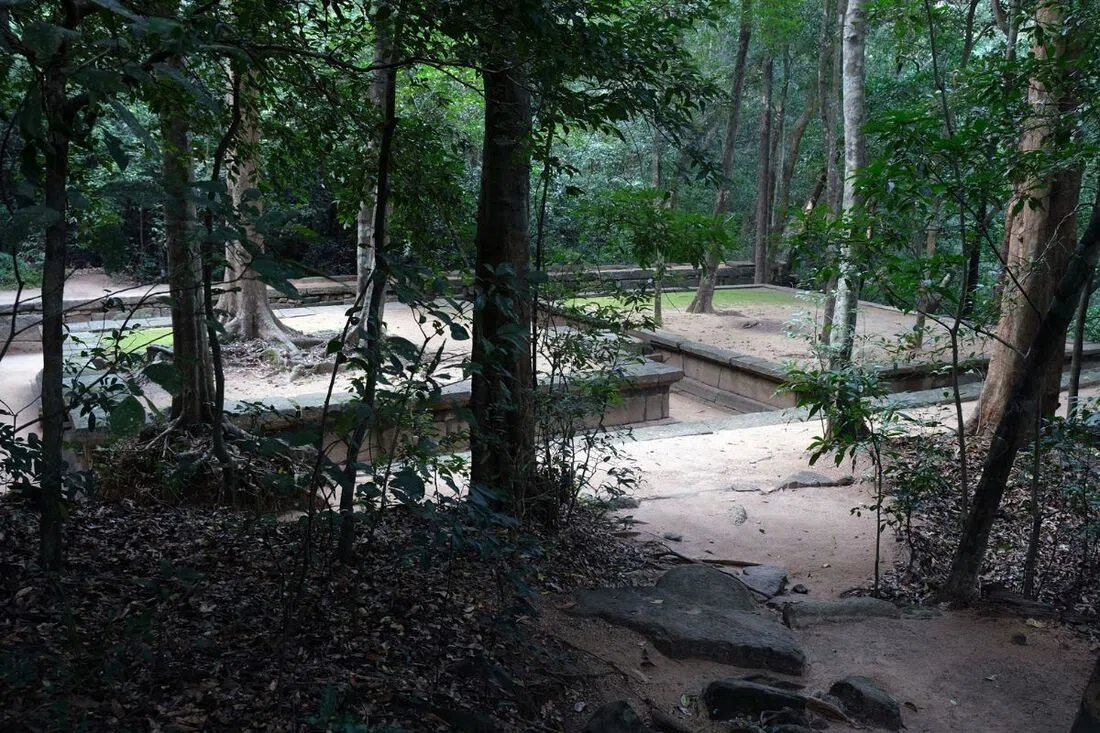 Forest setting around the Sita Kotuwa tradition site near Hasalaka