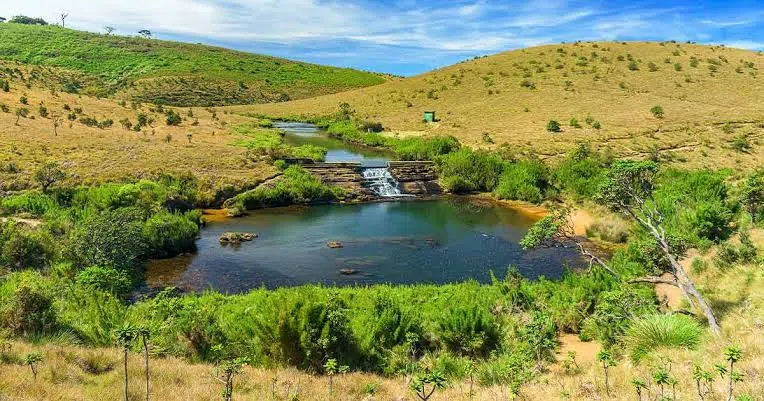 Open plateau landscape at Horton Plains