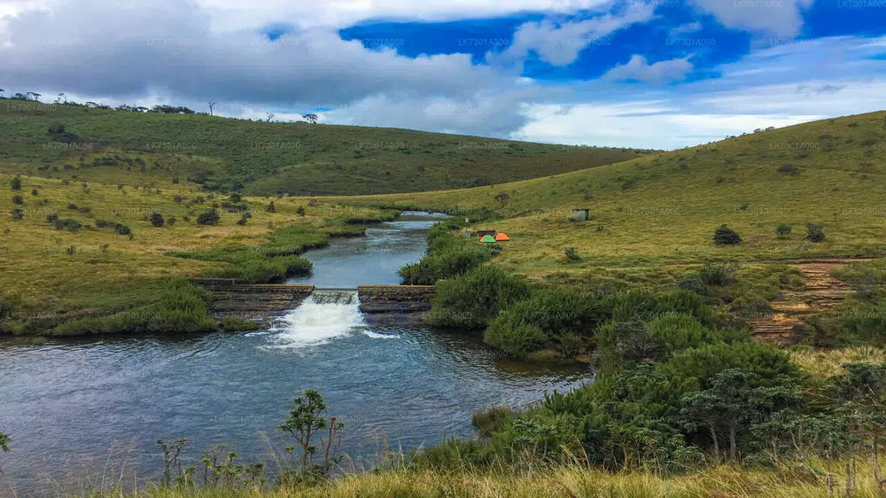 Open plateau landscape at Horton Plains