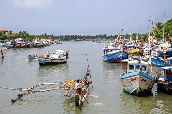 Fishing boats on Negombo Lagoon