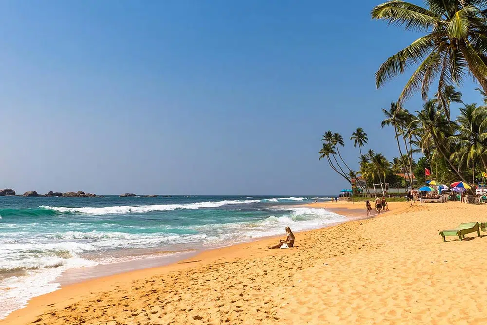Palm-lined Bentota beach on Sri Lankaβs south-west coast