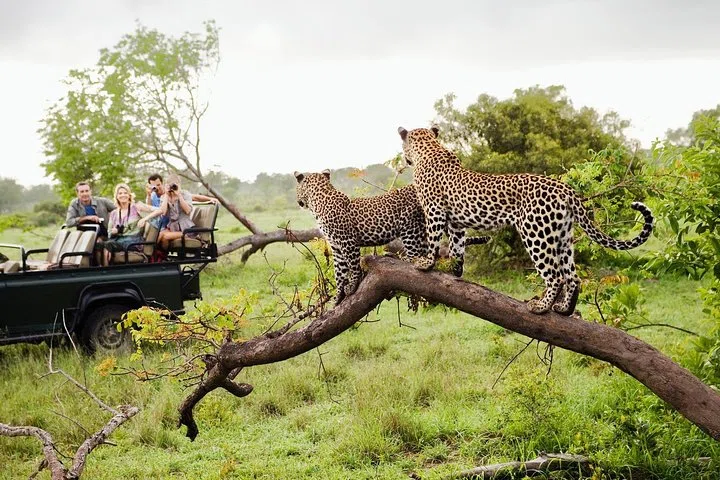 Wildlife safari landscape in Yala National Park