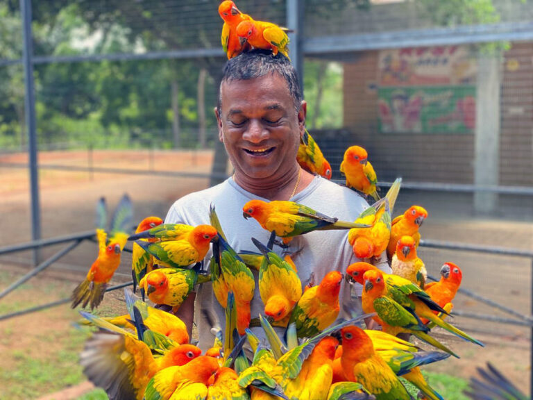 BIrds-Park-Visitor-4