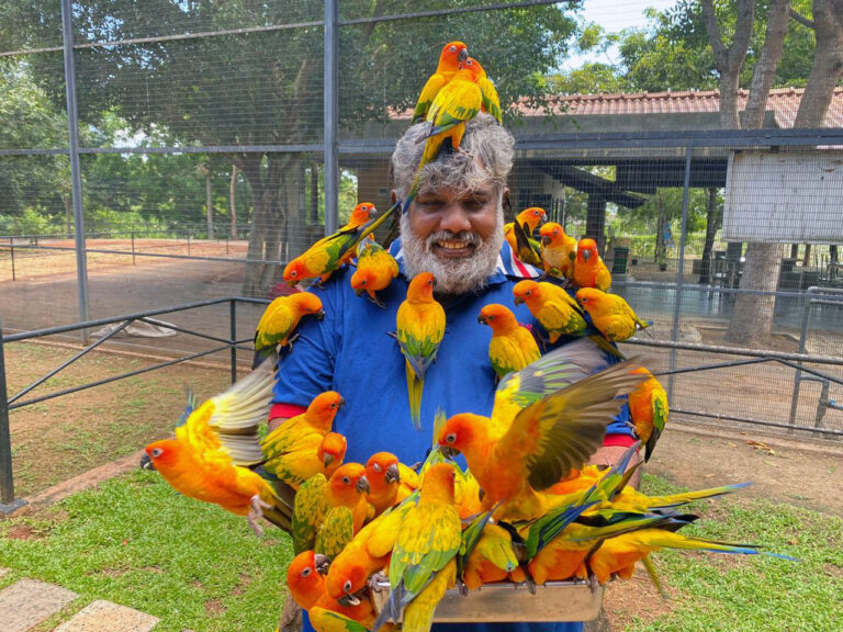 BIrds-Park-Visitor