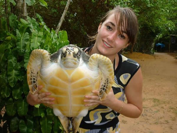 TURTLES-5