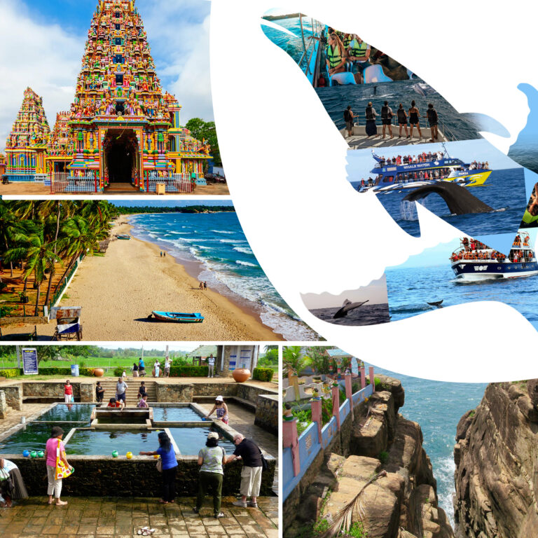 Trincomalee City Tour