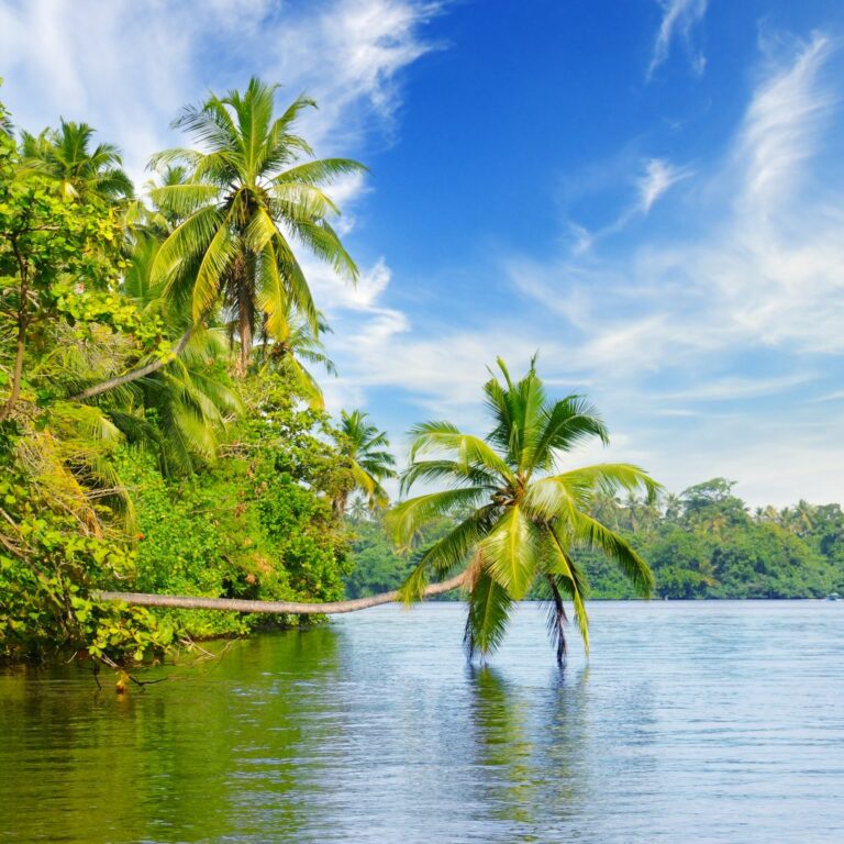 iStock-1188973865-1024x1024
