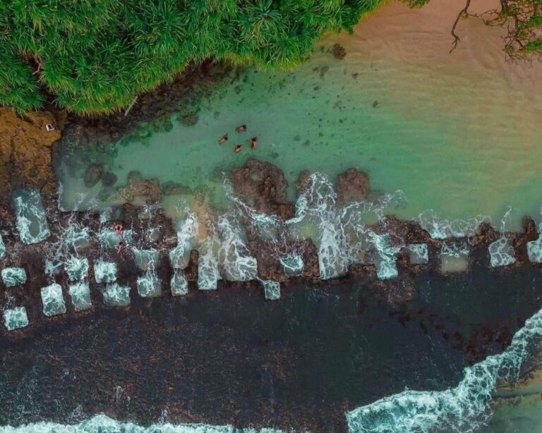 Thalpe Coral Tanks – Man made nature, Wild Nest Villa